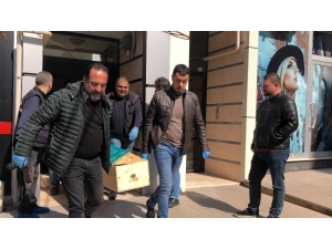 Cinayet İşledi, Karakola Gitti