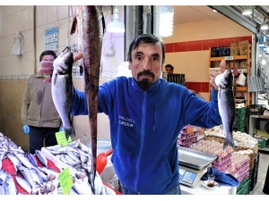 Balık Tezgahlarında Her Şey 10 Lira