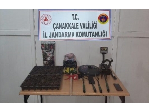 Çanakkale’de Yasa Dışı Kenevir Ekimine Operasyon