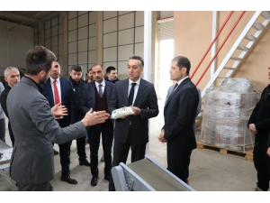 Vali Çağatay, Bakliyat Firmasını Ziyaret Etti