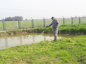 Tarsus’ta Kamuya Açık Alanlar Ve Okullarda İlaçlama Çalışmaları