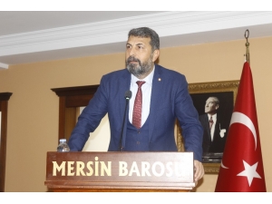 Yeşilboğaz: "Ağaç Katliamını Yapanın Tek Kişi Olmadığını Hepimiz Biliyorduk"