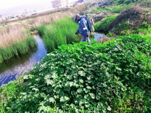 Büyükşehirden İlçelerde Vektörel Mücadele