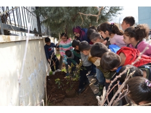 Bağlar Belediyesinden Okullarda Yeşil Alan Seferberliği