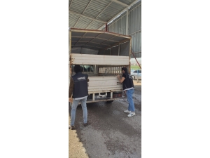 Cizre’de Uyuşturucu Denetimleri Sürüyor