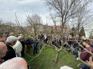 Çiftçilere Uygulamalı Budama Eğitimi
