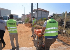 Başkan Şahin, Bir Yıllık Saha Çalışması Verilerini Paylaştı