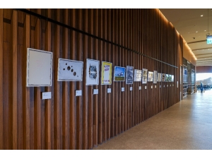 İstanbul Havalimanı “Limited Editions” Sergisine Ev Sahipliği Yapıyor