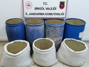 Bingöl’de 504 Kilo Esrar Ele Geçirildi