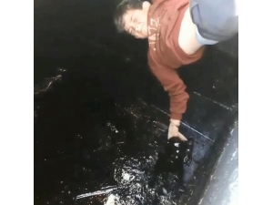 Diyarbakırlı Çocuklar Petrol Kuyusuna Düşen 2 Yavru Köpeği Kurtardı