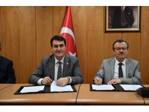 Sokak Hayvanlarına 24 Saat Sağlık Hizmeti