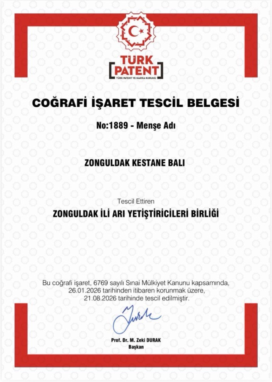 zonguldak-kestane-bali-cografi-isaret-tescili-aldi