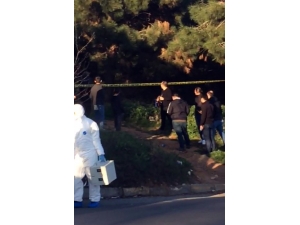 Kız Arkadaşını Öldürüp Ormanda İntihar Etti