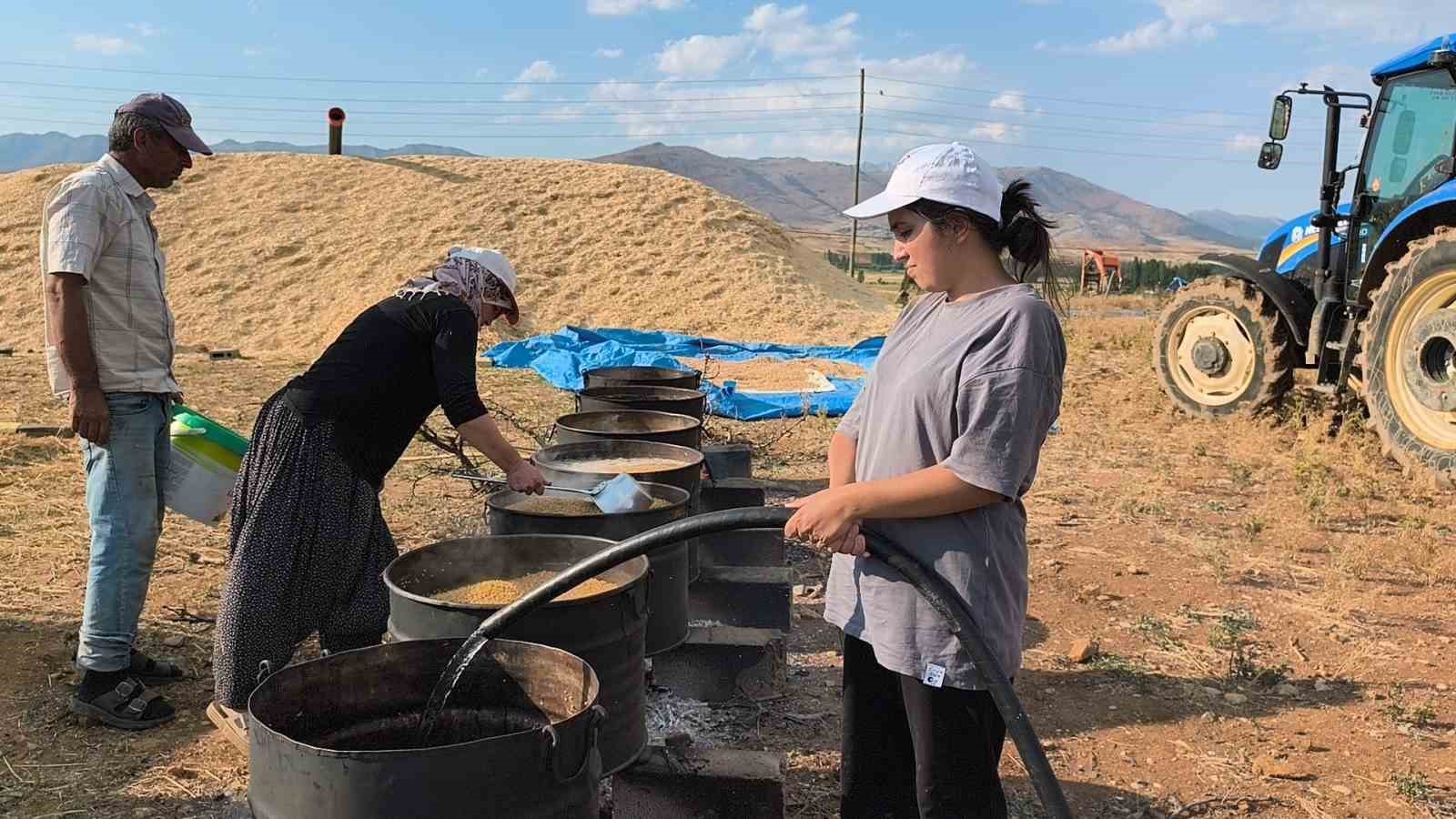 universite-ogrencileri-yaz-tatilinde-tarlada-ailelerine-destek-oluyor