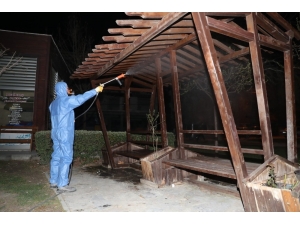 Pamukkale’de Dezenfekte Çalışmaları Aralıksız Olarak Devam Ediyor