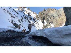 "Kapan-8 Ağrı Dağı-çemçe-madur Operasyonu" Başlatıldı