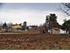 Lavanta Yetiştiriciliği Demonstrasyon Eğitim Bahçesi Projesi