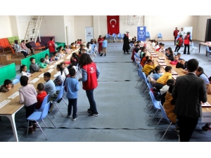 Erzincan’da Akıl Ve Zeka Oyunları İl Turnuvası Yapıldı