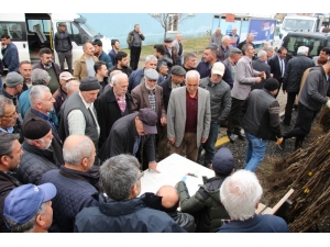 Oltulu Çiftçilere 10 Bin Ceviz Fidanı Hibe Edildi