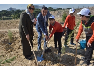 İdlib Şehitleri Anısına Fidan Dikildi
