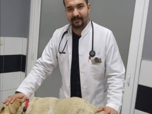 Veteriner Hekimleri Odası Başkanı Şahin, “Evcil Hayvan Sahipleri Tedirgin Olmasın”