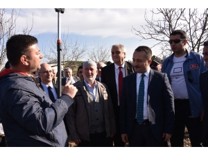 Bilecik’te ’Ceviz Budama Günü’ Yapıldı