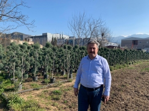 Melikgazi Ağaca Doyacak