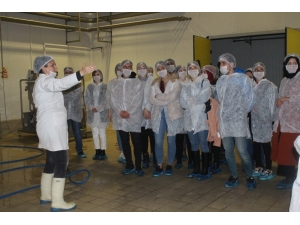 Uşak’taki Gönüllü Öğrenciler Gıda Denetçisi Oldu