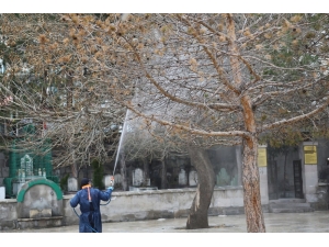 Sivas’ta Dezenfekte Ve İlaçlama Çalışmaları Aralıksız Devam Ediyor