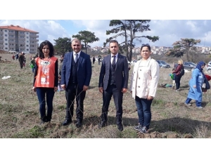 Anaokulu Öğrencileri 250 Fidanı Toprakla Buluşturdu