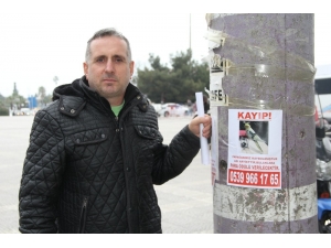 ‘Artist’i Bulanı Ödüllendirecek