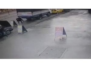 Yola Düşen Paraları Toplayıp Gitti