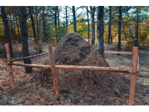 Görünce Gözlerine İnanamadılar, Hemen Koruma Altına Alındı