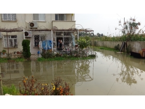 Erdemli’de Limonlu Deresi Taştı Seraları Ve Siteleri Su Bastı