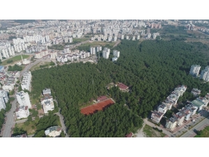 Mesire Alanın İsmini Halk Belirleyecek