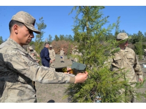 İdlib Şehitlerinin İsimlerinin Yazdığı Fidanlar Toprakla Buluştu