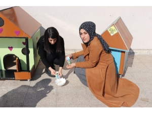 Üniversite Öğrencilerinden Örnek Davranış