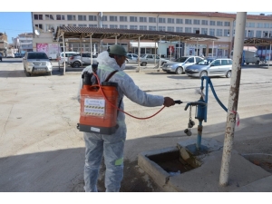 Çifteler Belediyesi Tarafından Dezenfeksiyon Çalışmaları Devam Ediyor