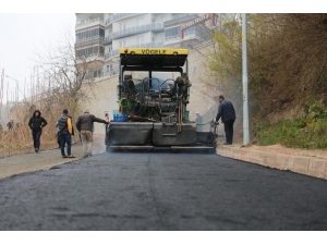 Fatsa Belediyesi’nin Asfalt Çalışmaları