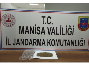 Manisa’da Jandarmadan Uyuşturucu Operasyonu