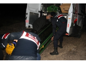 Su Birikintisine Düşen Genç Hayatını Kaybetti