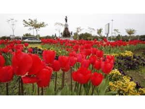 Büyükşehir, Kenti Çiçek Bahçesine Çevirdi