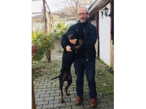 Kavgayı Ayırmak İsteyen Mekan Sahibi Hayatını Kaybetti