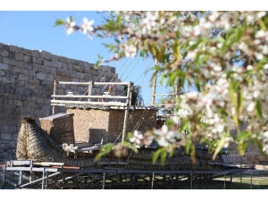 Patara Antik Kenti’nde Baharın Uyanışı