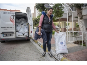 Mersin Büyükşehir Belediyesi, Hayvanseverlere Ayda 2 Ton Mama Dağıtıyor