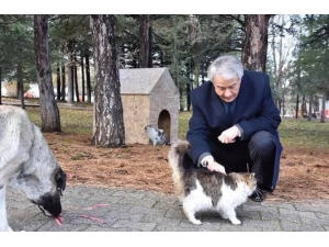 Isparta’da Hayvanat Bahçesi Tedbir Amaçlı Olarak Ziyarete Kapatıldı