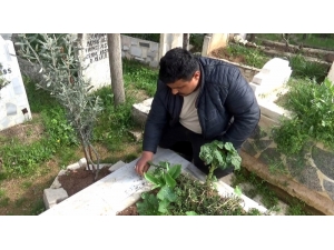 Sivil Şehidin Mezar Taşını Çaldılar