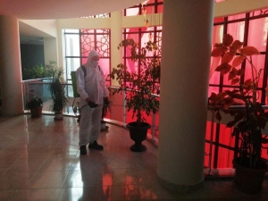 Altınova Belediyesi’nin Tüm Birimleri İlaçlandı