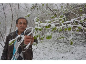 Mart Kapıdan Baktırdı