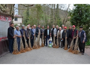 Büyükşehir Belediyesinden Koza Üreticisine Destek
